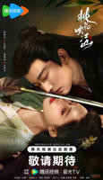 桃花映江山 电视剧免费观看完整版