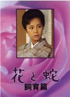 花与蛇5