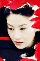 美丽桃子5:美丽人生星辰